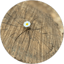 nakoa n. Avatar