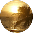 Shelby C. Avatar